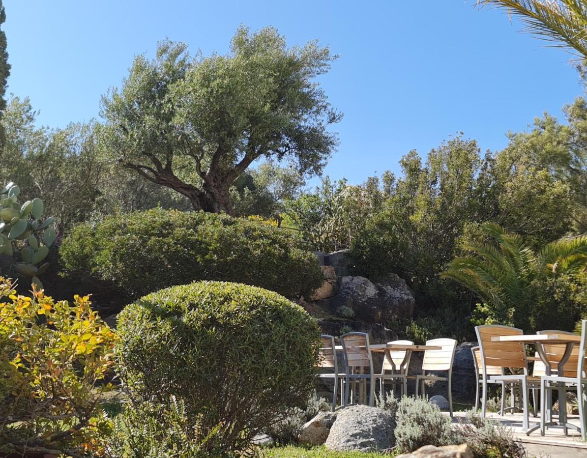Hotel Cala Di L'Oru LʼÎle-Rousse Zewnętrze zdjęcie
