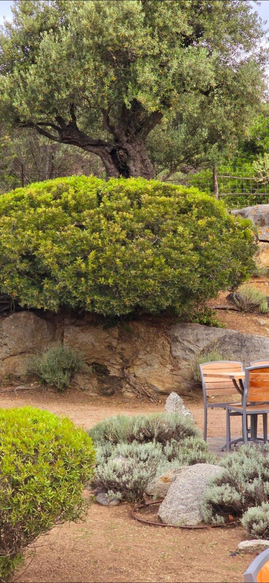 Hotel Cala Di L'Oru LʼÎle-Rousse Zewnętrze zdjęcie