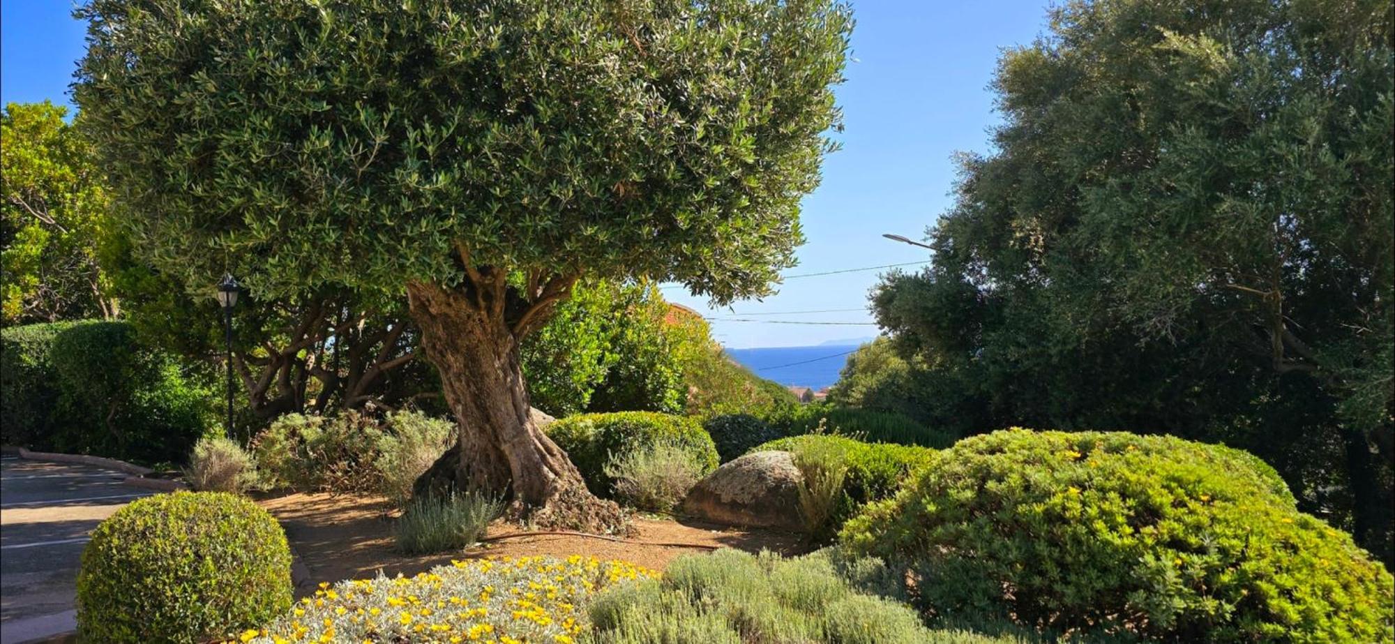 Hotel Cala Di L'Oru LʼÎle-Rousse Zewnętrze zdjęcie