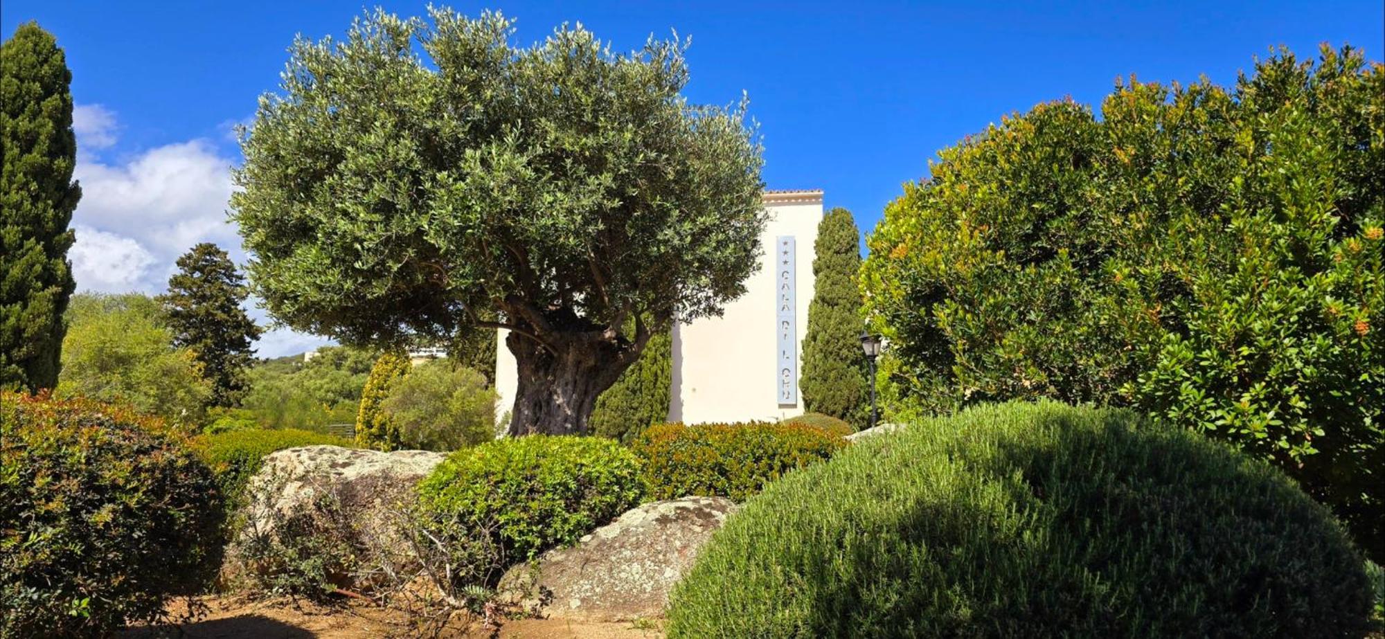 Hotel Cala Di L'Oru LʼÎle-Rousse Zewnętrze zdjęcie