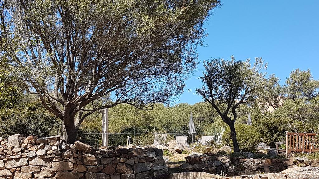 Hotel Cala Di L'Oru LʼÎle-Rousse Zewnętrze zdjęcie