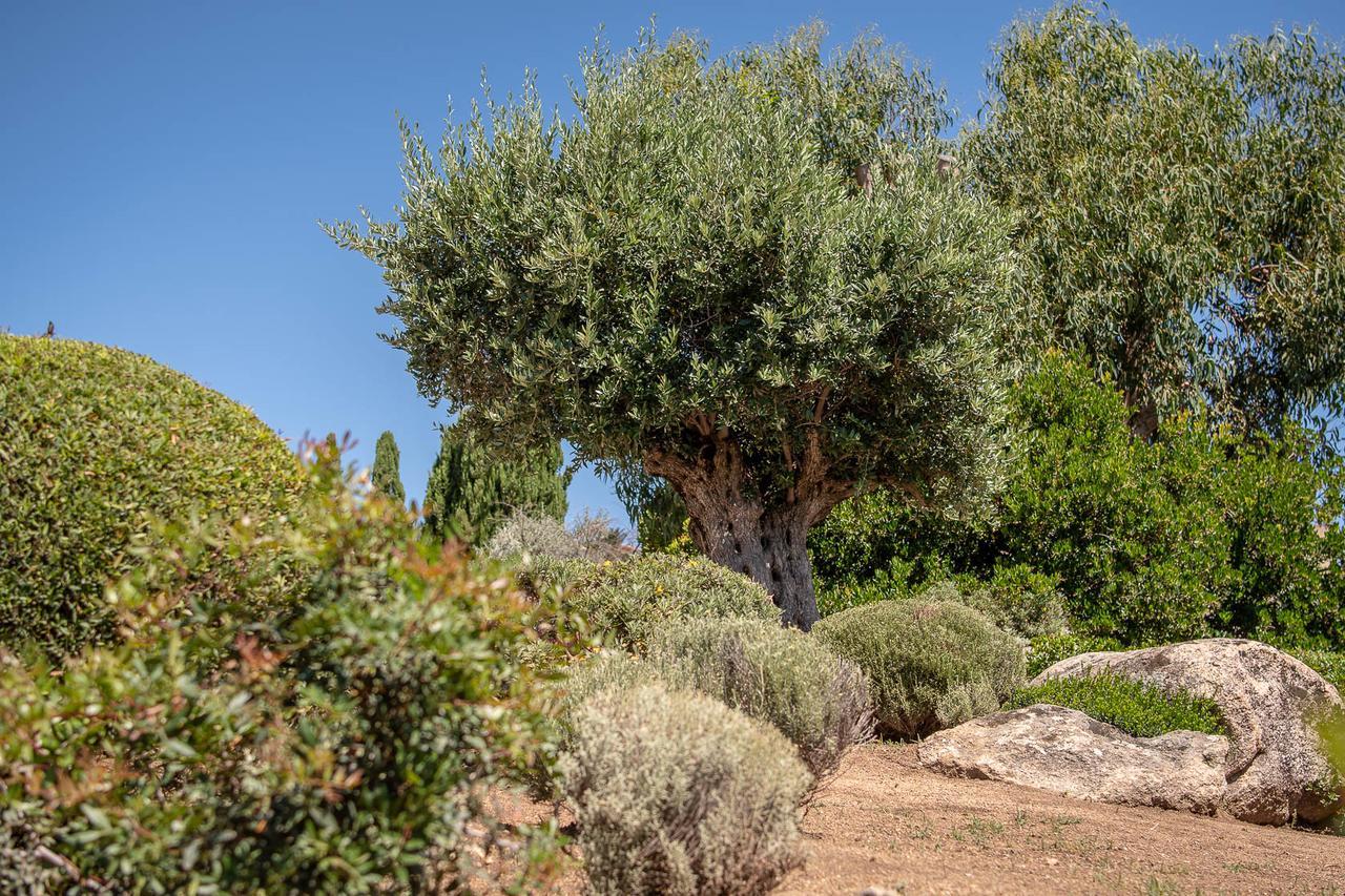 Hotel Cala Di L'Oru LʼÎle-Rousse Zewnętrze zdjęcie